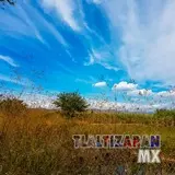 Paisaje en el campo, cerca del canal de Tlaltizapán