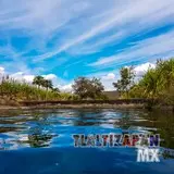 Increible paisaje dentro del canal de riego de Tlaltizapán