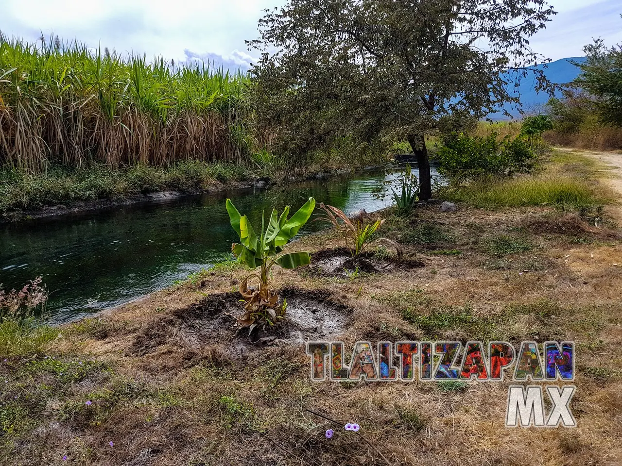 Paisaje en la orilla del canal de riego de Tlaltizapán