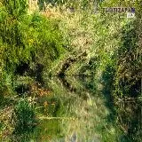 Bello paisaje del rio de Yautepec antes de 'La toma de Alejandra'