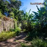 Vereda en Xochimancas