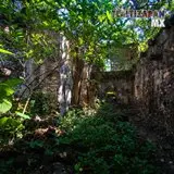creciente naturaleza en Ex-hacienda.