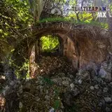 Guarida de los plateados.