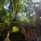 Grandes amates en paredes.