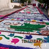 Imágenes plasmadas en los tapetes de aserrín - Aniversario de los adoradores nocturnos