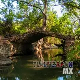 Puente de piedra en el Rio de Tilingo (Temimilcingo)