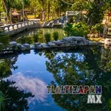 Manantiales de aguas cristalinas en Tlaltizapán, Morelos