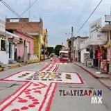 Tapetes sobre calle Hidalgo Sur.
