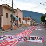 Tapetes sobre las calles de Tlaltizapán Morelos.