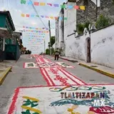 Tapetes en la calle Leona Vicario al costado de la Iglesia.