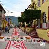 Tapetes entre las calles De La Constitución e Hidalgo Sur.