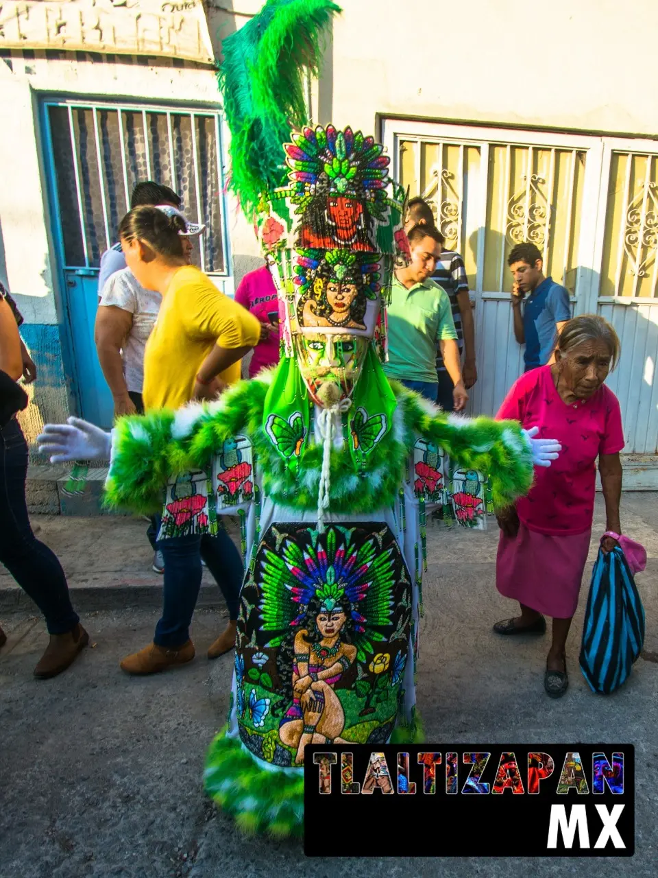 Carnaval de Tlaltizapán 2019 - Parte 2 | Colecciones multimedia | Tlaltizapan.mx