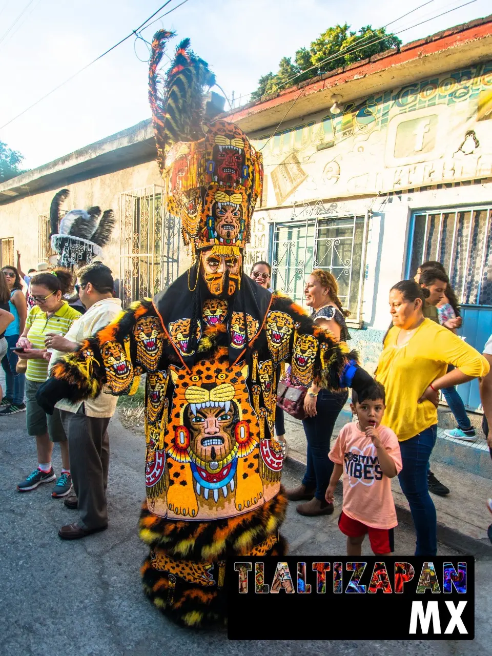 Carnaval de Tlaltizapán 2019 - Parte 2 | Colecciones multimedia | Tlaltizapan.mx