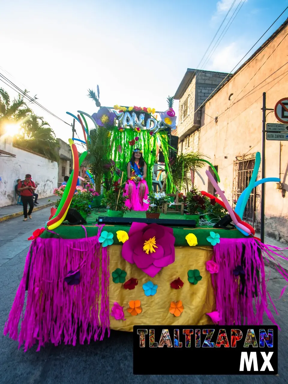 Carnaval de Tlaltizapán 2019 - Parte 2 | Colecciones multimedia | Tlaltizapan.mx