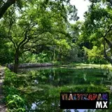 Bonito paisaje del manantial 'El ojito de Ticuman'