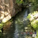 Apancle de los Ricos Tlaltizapán, Morelos