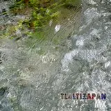 aguas claras del apancle de los ricos en Tlaltizapán