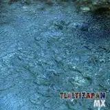 Apancle de los ricos, Tlaltizapan Morelos.