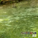 El apancle de los ricos en el municipio de Tlaltizapán