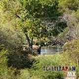 Rumbo al apancle de los ricos