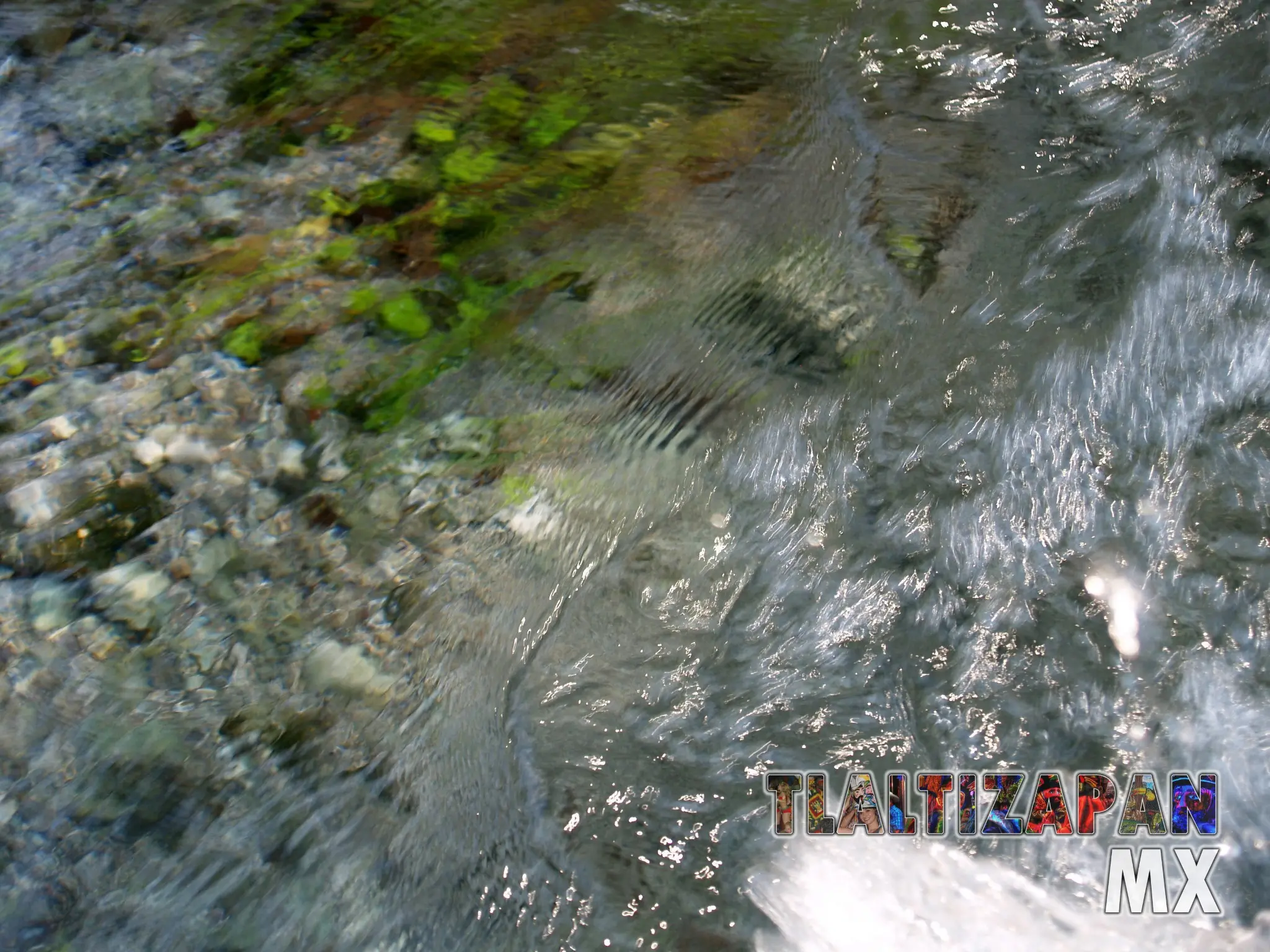 Transparentes aguas del apancle de los ricos en Tlaltizapán