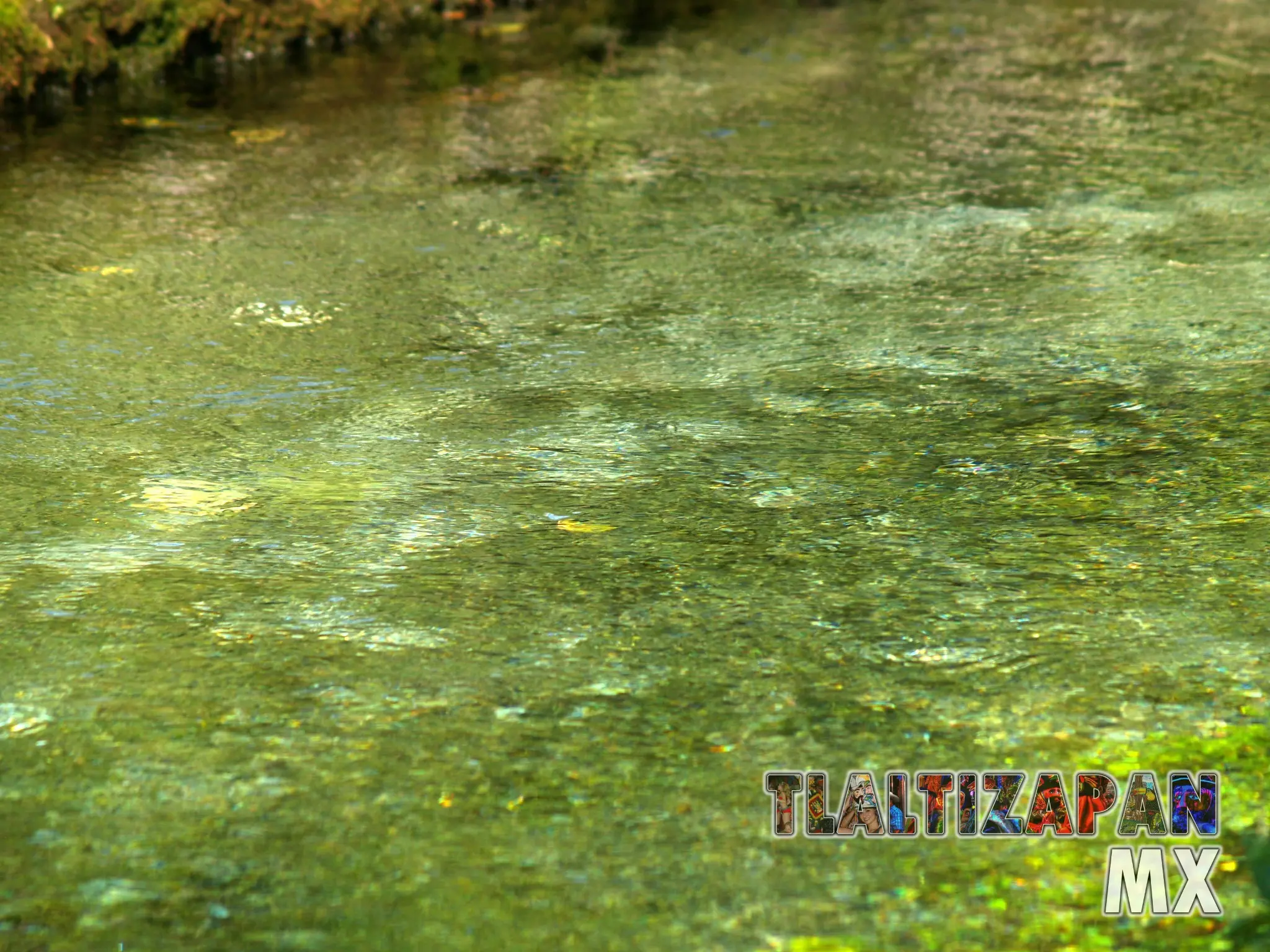 El apancle de los ricos en el municipio de Tlaltizapán