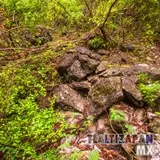 Dentro de la barranca mas grande del cerro Santa María en Tlaltizapán, Morelos