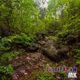Paisaje dentro de la barranca del cerro de Santa María en Tlaltizapán, Morelos