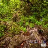 Paisaje dentro de la barranca del cerro de Santa María en Tlaltizapán, Morelos