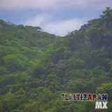 Vista de la barranca del cerro Santa María en Tlaltizapán