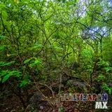 Paisaje dentro del cañón del Cerro de Santa María en Tlaltizapán, Morelos