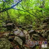 Paisaje dentro del cañón del Cerro de Santa María en Tlaltizapán, Morelos