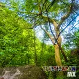 Paisaje dentro de la barranca del cerro de Santa María en Tlaltizapán, Morelos