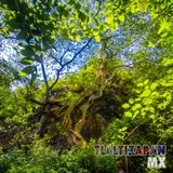 Paisaje dentro de la barranca del cerro de Santa María en Tlaltizapán, Morelos