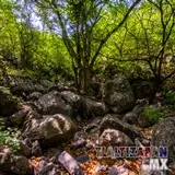 Paisaje dentro del cañón del Cerro de Santa María en Tlaltizapán, Morelos