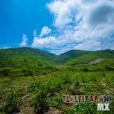 Paisaje natural del cerro de Santa Maria. Naturaleza que puedes disfrutar en Morelos
