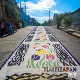 Tapetes en Tlaltizapán de Zapata Morelos