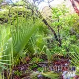 Avanzando entre las veredas del cerro Santa María.