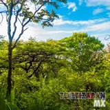 Avanzando entre las veredas del cerro Santa María.