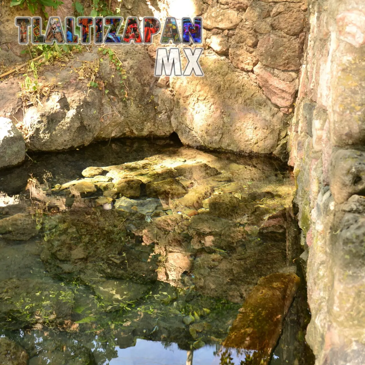 Colección de fotos del manantial 'Ojito de agua' de Ticuman en Tlaltizapán, Morelos