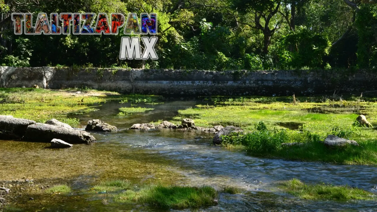 Colección de fotos del manantial 'Ojito de agua' de Ticuman en Tlaltizapán, Morelos