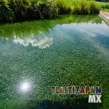 Agua cristalina la que se puede disfrutar en las Tazas de Temilpa