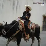 Niño montado en el toro , desfile en carnaval 2006