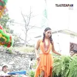 Carros alegóricos, desfile de carnaval 2006