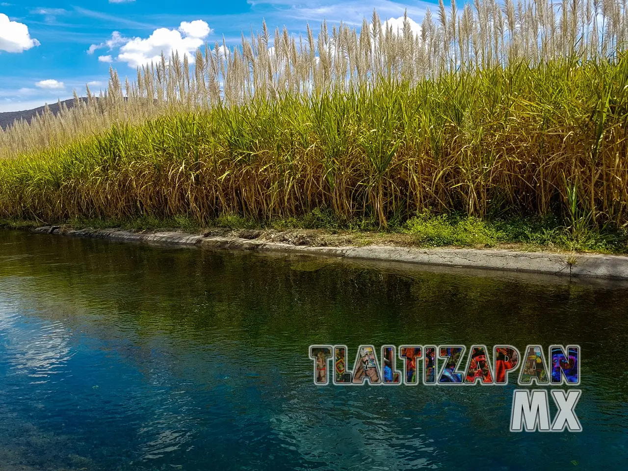 El canal de Tlaltizapán a la orilla de los campos de siembra