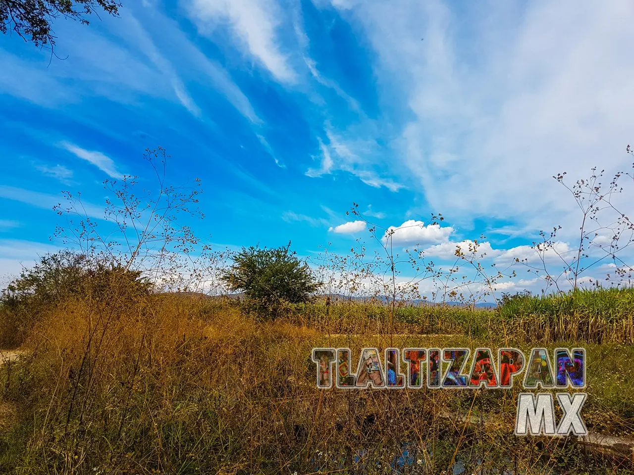 Paisaje en el campo, cerca del canal de Tlaltizapán