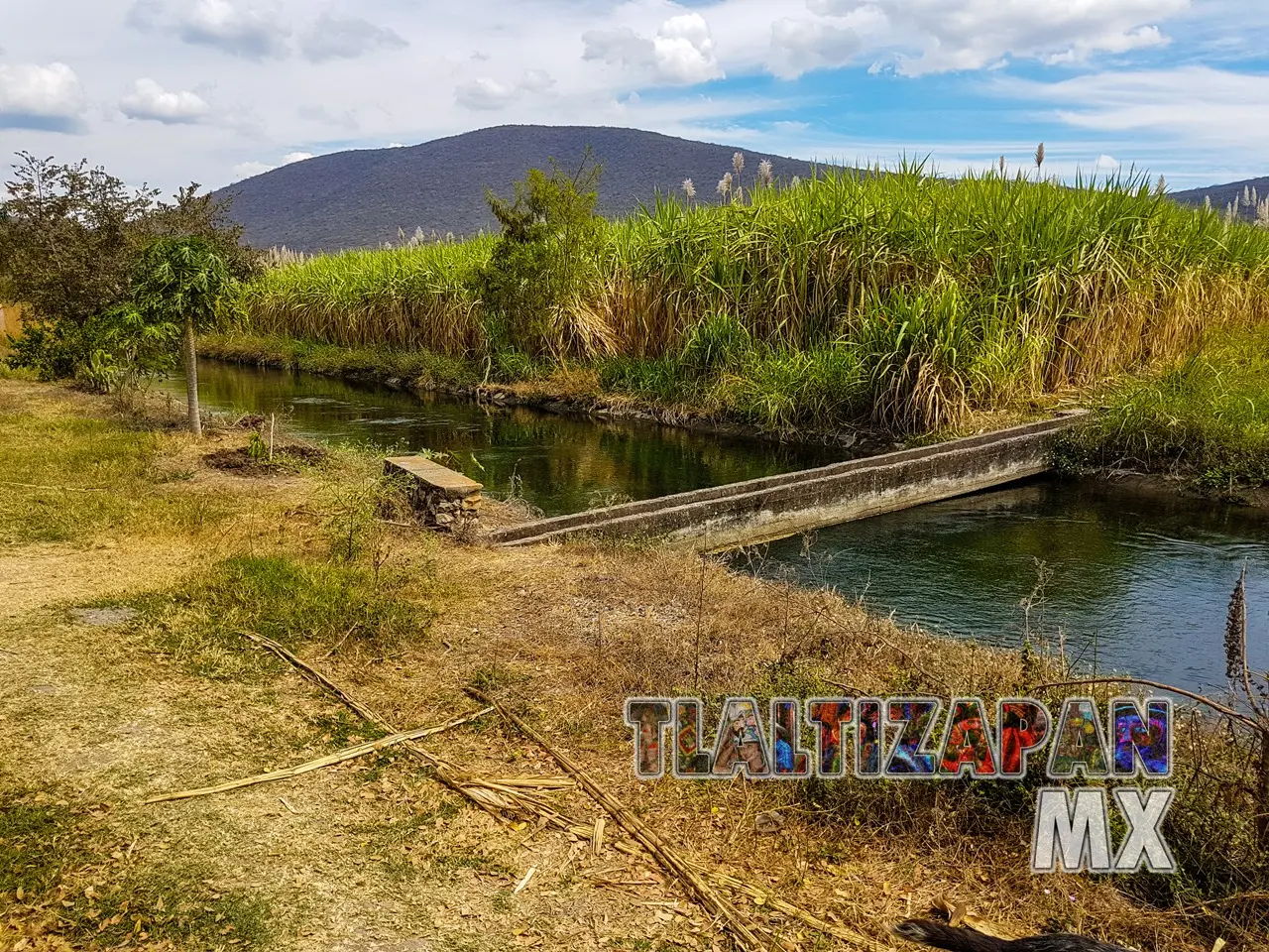 Paisaje del canal de Tlaltizapán