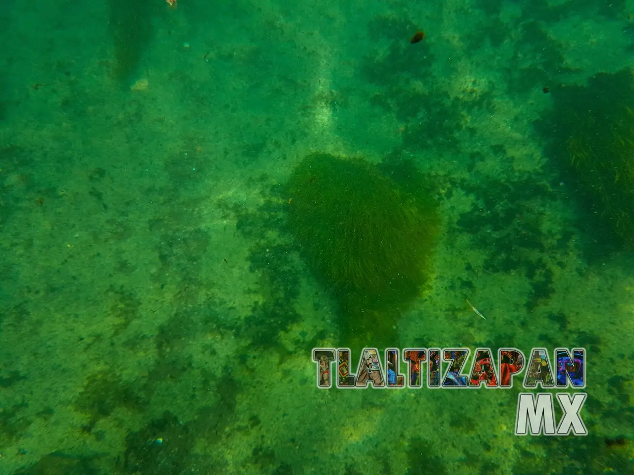 Fotografía del fondo del Canal de riego de Tlaltizapán