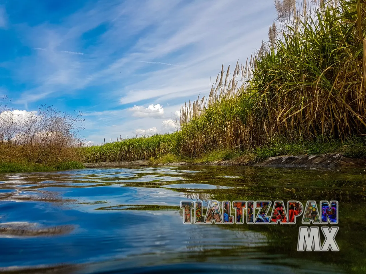 Un bello paisaje del canal de Tlaltizapán fotografiado desde adentro.