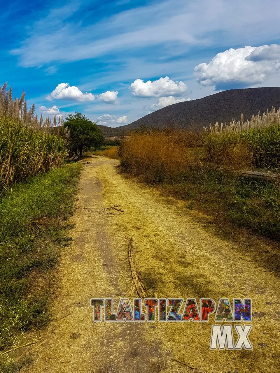 Camino a la orilla del canal de riego de Tlaltizapán